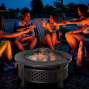 Outdoor Fire Pit with Grill Net & Mesh Lid – Includes Poker – Camping, Bonfire & Picnic Brazier – Bronze Finish 2